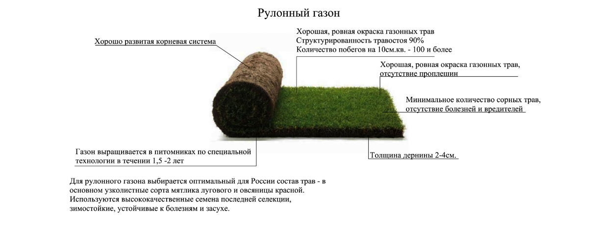 Устройство Руллонного газона